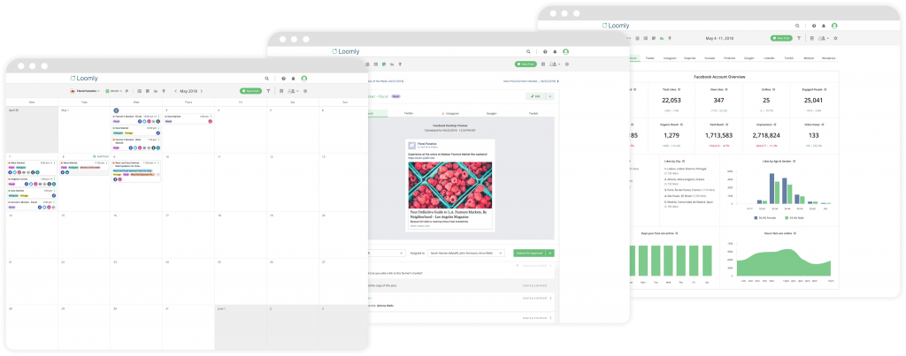 Loomly is a new addition to the social media management game.