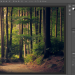 This blog is all about 9 free alternatives to photoshop
